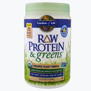 Garden of Life Raw Protein & Greens